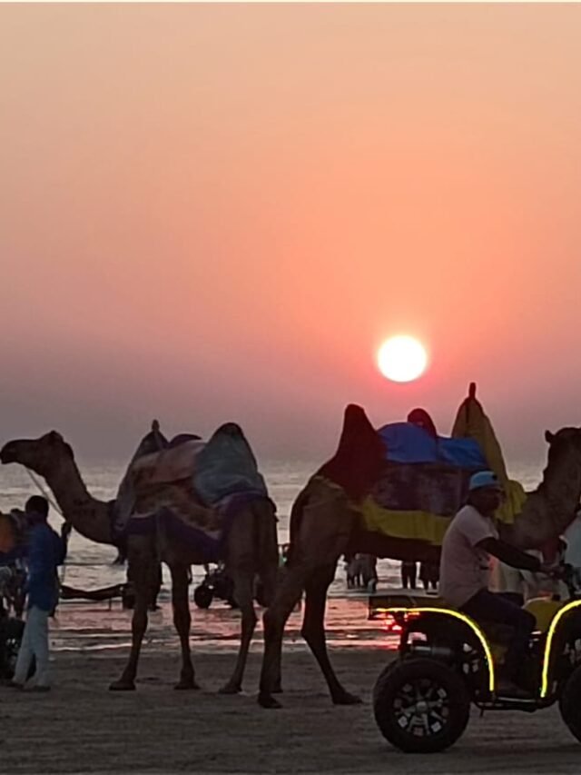 Mandvi beach-kutch